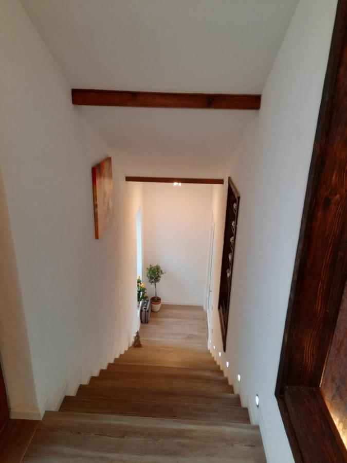 Apartments 'Niko' Waldsee  Exterior photo